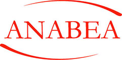 2-logo-anabea-principal logo